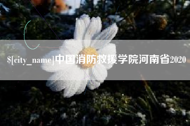 三河中国消防救援学院河南省2020